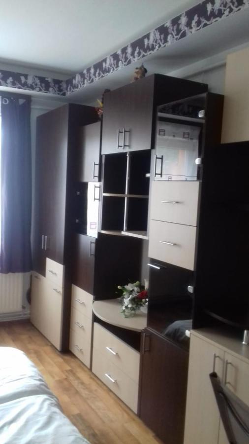 Alexandra 'S Studio Apartamento Braşov Exterior foto